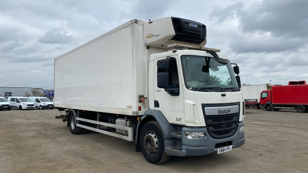 DAF LF 220 - Hladnjača: slika 1 DAF LF 220 - Hladnjača: slika 1