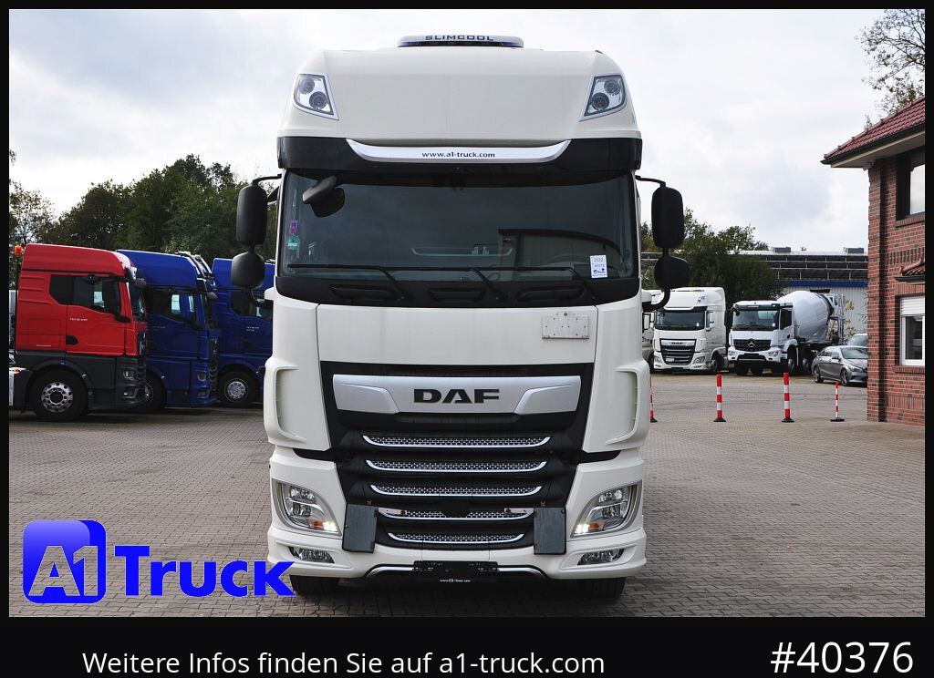 Kamion za prevoz kontejnera/ Kamion sa promenjivim sandukom DAF DAF XF 480 FAN SSC Intarder, Lenkachse Standlklima: slika 14