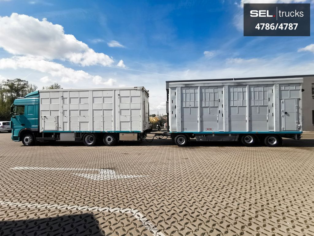DAF XF 105.460 / Intarder / 4 Stock / KOMPLETT ! DAF XF 105.460 / Intarder / 4 Stock / KOMPLETT ! - Kamion za prevoz stoke: slika 1 DAF XF 105.460 / Intarder / 4 Stock / KOMPLETT ! DAF XF 105.460 / Intarder / 4 Stock / KOMPLETT ! - Kamion za prevoz stoke: slika 1
