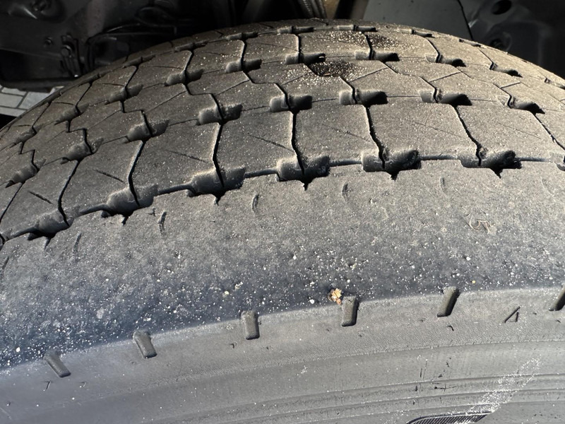 Hladnjača Scania P230 -25 C Firgo/Cooling/Freeze/Tiefkuhl Lamberet Taillift: slika 18