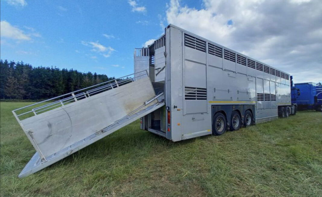 Gray and Adams Gadd3 / Works Great / Hydraulic / 2 Levels - Poluprikolica za prevoz stoke: slika 3 Gray and Adams Gadd3 / Works Great / Hydraulic / 2 Levels - Poluprikolica za prevoz stoke: slika 3