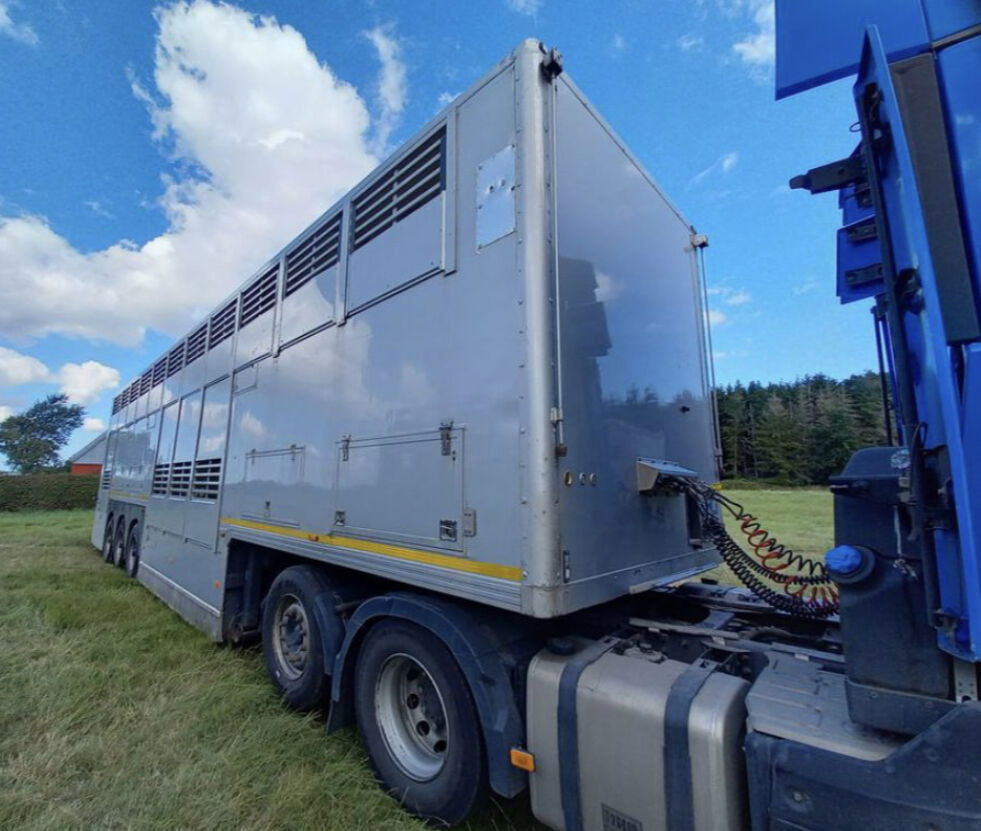 Gray and Adams Gadd3 / Works Great / Hydraulic / 2 Levels - Poluprikolica za prevoz stoke: slika 4 Gray and Adams Gadd3 / Works Great / Hydraulic / 2 Levels - Poluprikolica za prevoz stoke: slika 4