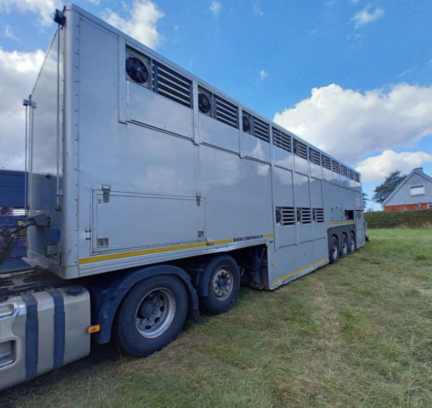 Gray and Adams Gadd3 / Works Great / Hydraulic / 2 Levels - Poluprikolica za prevoz stoke: slika 5 Gray and Adams Gadd3 / Works Great / Hydraulic / 2 Levels - Poluprikolica za prevoz stoke: slika 5