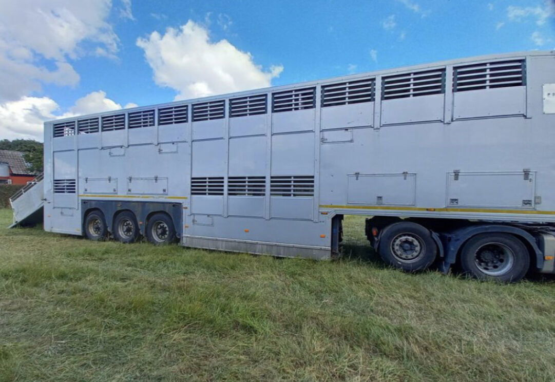 Gray and Adams Gadd3 / Works Great / Hydraulic / 2 Levels - Poluprikolica za prevoz stoke: slika 1 Gray and Adams Gadd3 / Works Great / Hydraulic / 2 Levels - Poluprikolica za prevoz stoke: slika 1