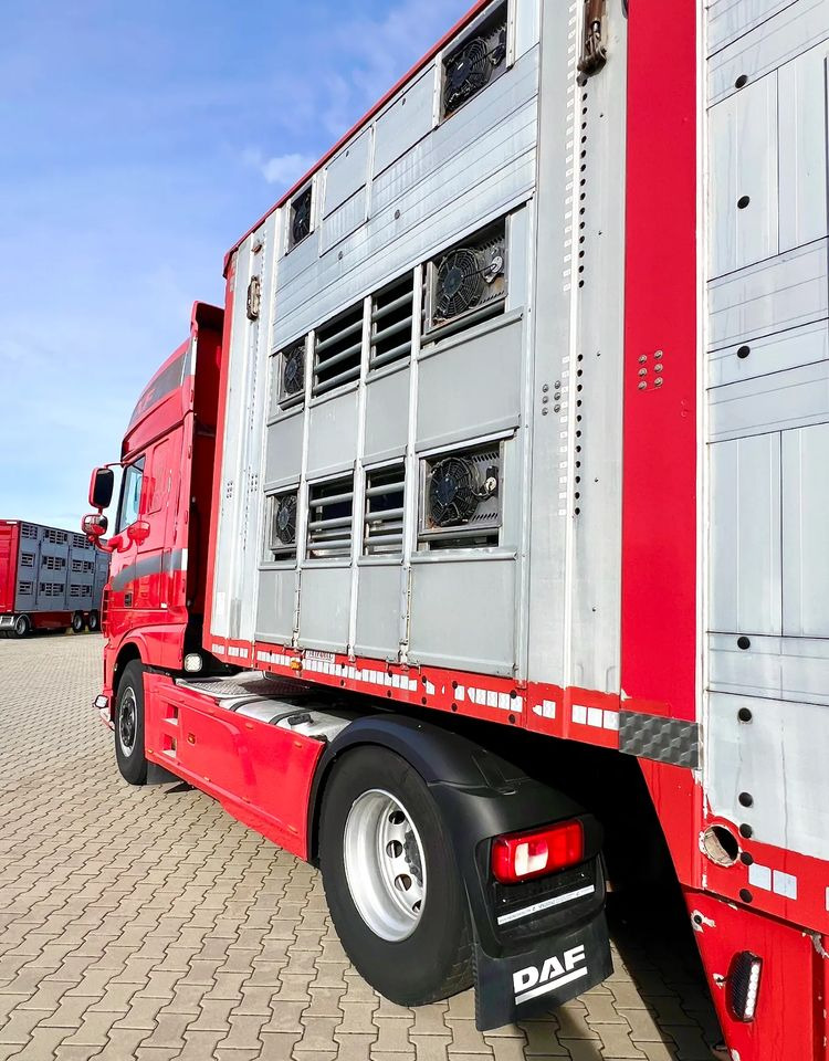 Poluprikolica za prevoz stoke Pezzaioli NACZEPA  2017 / 3 POZIOMY / TRANSPORT ZWIERZĄT / HYDRAULIKA / STEROWANIE PILOTEM/ PODNOSZONY DACH /: slika 8 Poluprikolica za prevoz stoke Pezzaioli NACZEPA  2017 / 3 POZIOMY / TRANSPORT ZWIERZĄT / HYDRAULIKA / STEROWANIE PILOTEM/ PODNOSZONY DACH /: slika 8