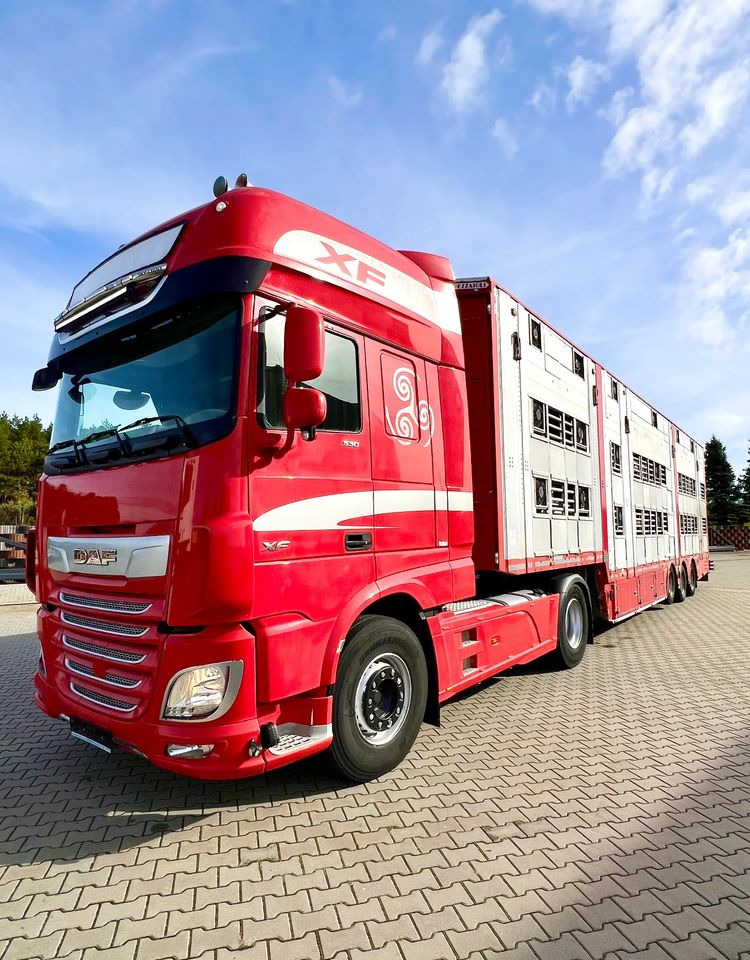 Pezzaioli NACZEPA  2017 / 3 POZIOMY / TRANSPORT ZWIERZĄT / HYDRAULIKA / STEROWANIE PILOTEM/ PODNOSZONY DACH / - Poluprikolica za prevoz stoke: slika 5 Pezzaioli NACZEPA  2017 / 3 POZIOMY / TRANSPORT ZWIERZĄT / HYDRAULIKA / STEROWANIE PILOTEM/ PODNOSZONY DACH / - Poluprikolica za prevoz stoke: slika 5