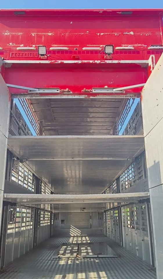 Poluprikolica za prevoz stoke Pezzaioli NACZEPA  2017 / 3 POZIOMY / TRANSPORT ZWIERZĄT / HYDRAULIKA / STEROWANIE PILOTEM/ PODNOSZONY DACH /: slika 14 Poluprikolica za prevoz stoke Pezzaioli NACZEPA  2017 / 3 POZIOMY / TRANSPORT ZWIERZĄT / HYDRAULIKA / STEROWANIE PILOTEM/ PODNOSZONY DACH /: slika 14