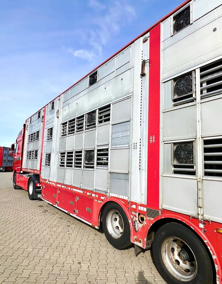 Poluprikolica za prevoz stoke Pezzaioli NACZEPA  2017 / 3 POZIOMY / TRANSPORT ZWIERZĄT / HYDRAULIKA / STEROWANIE PILOTEM/ PODNOSZONY DACH /: slika 9 Poluprikolica za prevoz stoke Pezzaioli NACZEPA  2017 / 3 POZIOMY / TRANSPORT ZWIERZĄT / HYDRAULIKA / STEROWANIE PILOTEM/ PODNOSZONY DACH /: slika 9