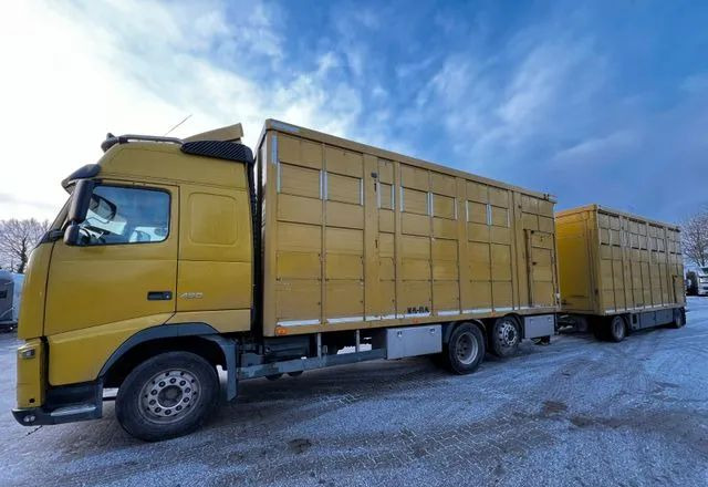 Volvo FH 420 • KABA • Transport Zwierząt 3xŚwinie/ 2xBydło 3-piętrowy • Euro 5 • Retarder • Oś podnoszona i skrętna - Kamion za prevoz stoke: slika 1 Volvo FH 420 • KABA • Transport Zwierząt 3xŚwinie/ 2xBydło 3-piętrowy • Euro 5 • Retarder • Oś podnoszona i skrętna - Kamion za prevoz stoke: slika 1