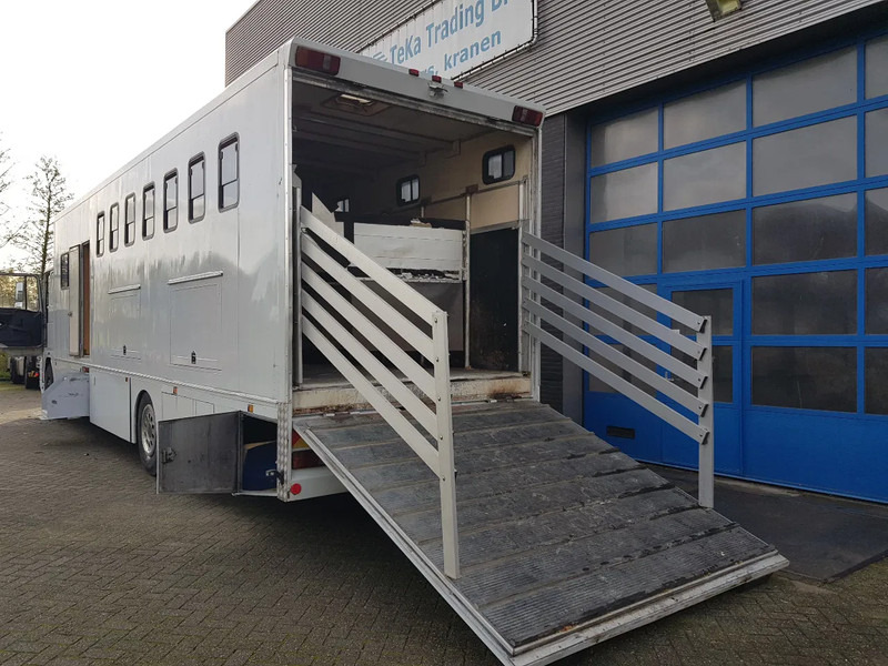 DAF 95.350 Paardenwagen met zitverblijf 7 paarden 7 horses - Kamion za prevoz konja: slika 5 DAF 95.350 Paardenwagen met zitverblijf 7 paarden 7 horses - Kamion za prevoz konja: slika 5