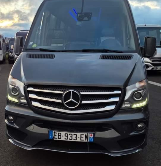 Mercedes-Benz SPRINTER 516 BLUETEC / SPROWADZONY / 86 000 KM - Minibus, Putnički kombi: slika 2 Mercedes-Benz SPRINTER 516 BLUETEC / SPROWADZONY / 86 000 KM - Minibus, Putnički kombi: slika 2