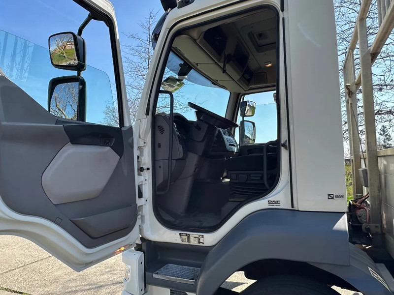 DAF LF 250 / NL TRUCK / EURO6 / LENGTE BAK 950cm / 12T - Kamion za prevoz automobila: slika 5 DAF LF 250 / NL TRUCK / EURO6 / LENGTE BAK 950cm / 12T - Kamion za prevoz automobila: slika 5