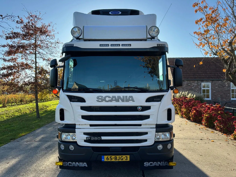 Scania P280 / NL TRUCK / EURO 6 / FULL AIR / CARRIER SUPRA 1250 / TOPCONDITION / LIFT+DOORS - Hladnjača: slika 2 Scania P280 / NL TRUCK / EURO 6 / FULL AIR / CARRIER SUPRA 1250 / TOPCONDITION / LIFT+DOORS - Hladnjača: slika 2