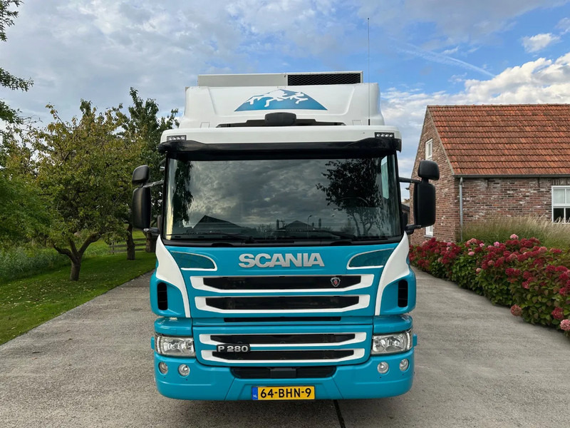 Scania P280 / NL TRUCK / FRIGOBLOCK FK 13(2019) / 2000kg LIFT / TOPCONDITION!! - Hladnjača: slika 3 Scania P280 / NL TRUCK / FRIGOBLOCK FK 13(2019) / 2000kg LIFT / TOPCONDITION!! - Hladnjača: slika 3