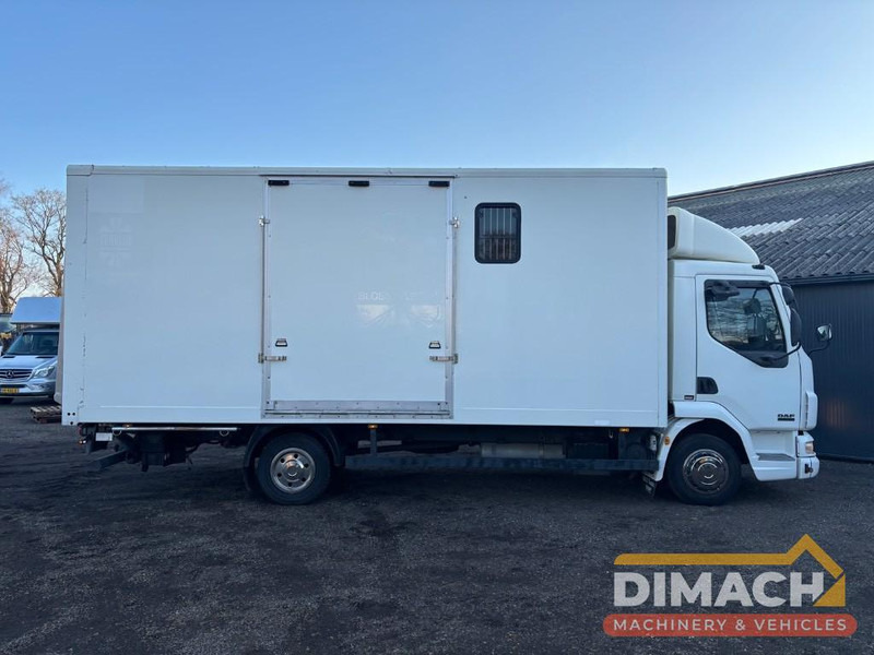 DAF FA LF45.150 4 paards, laadlift. Horsetruck NL truck - Kamion za prevoz konja: slika 4 DAF FA LF45.150 4 paards, laadlift. Horsetruck NL truck - Kamion za prevoz konja: slika 4