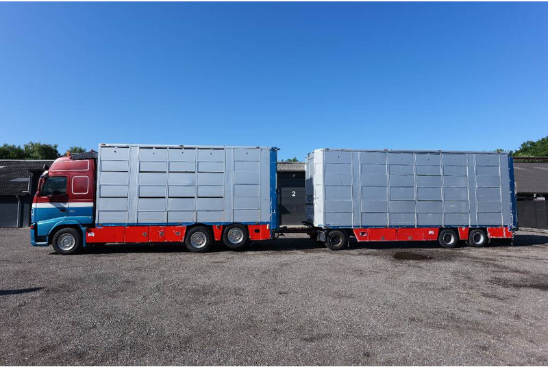 Volvo FH 13 480 6x2 3 stock livestock transport Cuppers - Kamion za prevoz stoke: slika 1 Volvo FH 13 480 6x2 3 stock livestock transport Cuppers - Kamion za prevoz stoke: slika 1