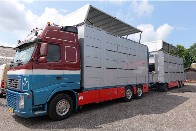 Volvo FH 13 480 6x2 3 stock livestock transport Cuppers - Kamion za prevoz stoke: slika 2 Volvo FH 13 480 6x2 3 stock livestock transport Cuppers - Kamion za prevoz stoke: slika 2