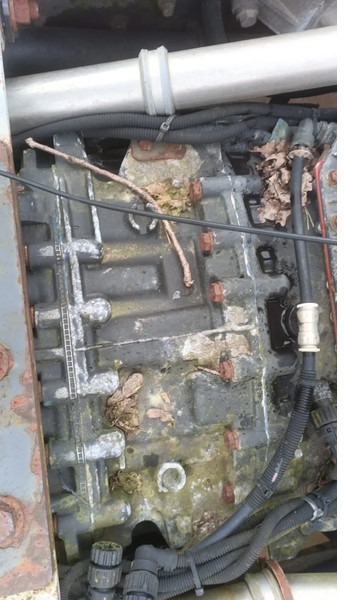 Renault Premium 420 Dci Engine + Automatic Gearbox - Motor za Kamion: slika 5 Renault Premium 420 Dci Engine + Automatic Gearbox - Motor za Kamion: slika 5