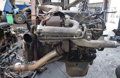 MAN D0836LFL54 MAN TGL TGM truck - Motor za Kamion: slika 1 MAN D0836LFL54 MAN TGL TGM truck - Motor za Kamion: slika 1