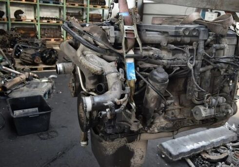 MAN D0836LFL54 MAN TGL TGM truck - Motor za Kamion: slika 3 MAN D0836LFL54 MAN TGL TGM truck - Motor za Kamion: slika 3