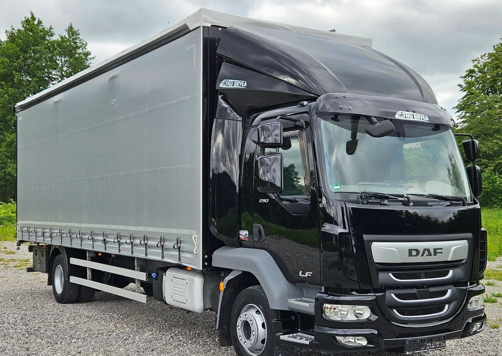 DAF LF 290/WINDA/16TON DMC/FIRANKA/AUTOMAT/16TON DMC/JEDEN WŁAŚCICIE/EURO 6/2019/SPROWADZONY/20PALET/NISKI PRZEBIEG/DUŻA ŁADOWNOŚĆ/JAK NOWY - Kamion sa ceradom: slika 2 DAF LF 290/WINDA/16TON DMC/FIRANKA/AUTOMAT/16TON DMC/JEDEN WŁAŚCICIE/EURO 6/2019/SPROWADZONY/20PALET/NISKI PRZEBIEG/DUŻA ŁADOWNOŚĆ/JAK NOWY - Kamion sa ceradom: slika 2