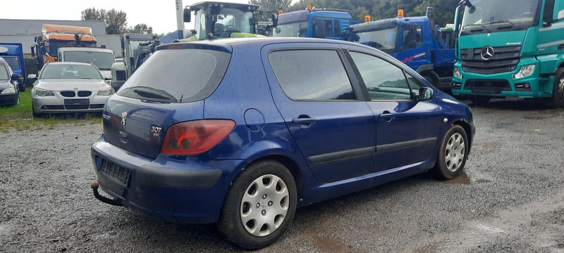Peugeot 307 Grand Filou - Hečbek: slika 3 Peugeot 307 Grand Filou - Hečbek: slika 3