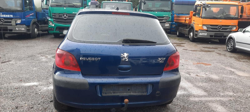 Peugeot 307 Grand Filou - Hečbek: slika 4 Peugeot 307 Grand Filou - Hečbek: slika 4