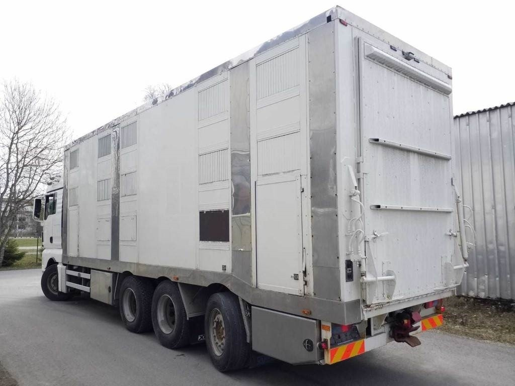 MAN TGX 35.540 8X4 TRIDEM ANIMAL - Kamion za prevoz stoke: slika 2 MAN TGX 35.540 8X4 TRIDEM ANIMAL - Kamion za prevoz stoke: slika 2