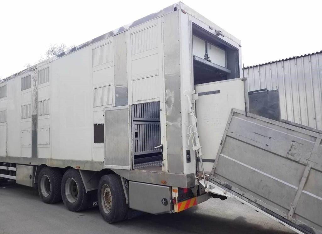 MAN TGX 35.540 8X4 TRIDEM ANIMAL - Kamion za prevoz stoke: slika 5 MAN TGX 35.540 8X4 TRIDEM ANIMAL - Kamion za prevoz stoke: slika 5
