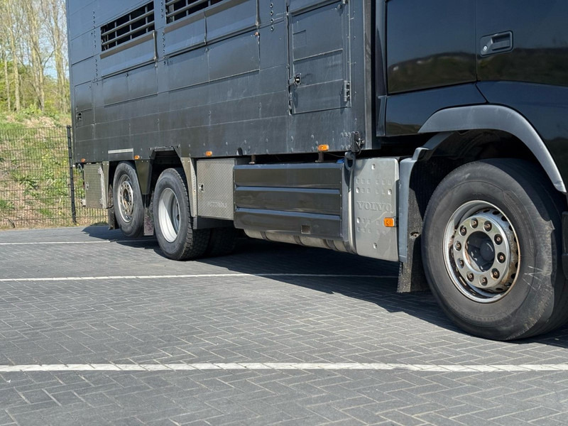 Volvo FH 13.540 STEERING, RETARDER, DOUBLE FLOOR, LIVE STOCK. - Kamion za prevoz stoke: slika 3 Volvo FH 13.540 STEERING, RETARDER, DOUBLE FLOOR, LIVE STOCK. - Kamion za prevoz stoke: slika 3