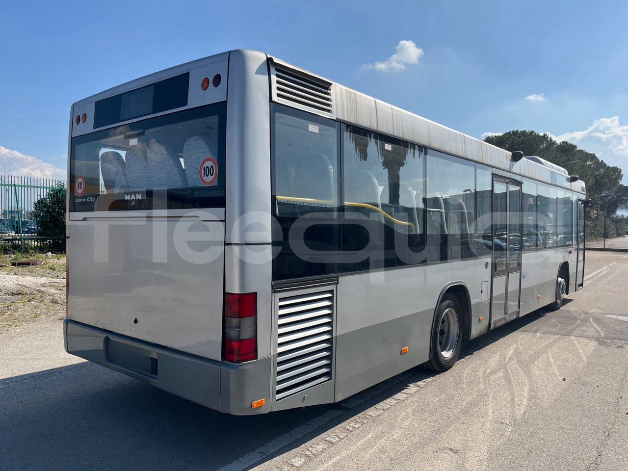 Lizing  Man Lion's Classic Man Lion's Classic: slika 9