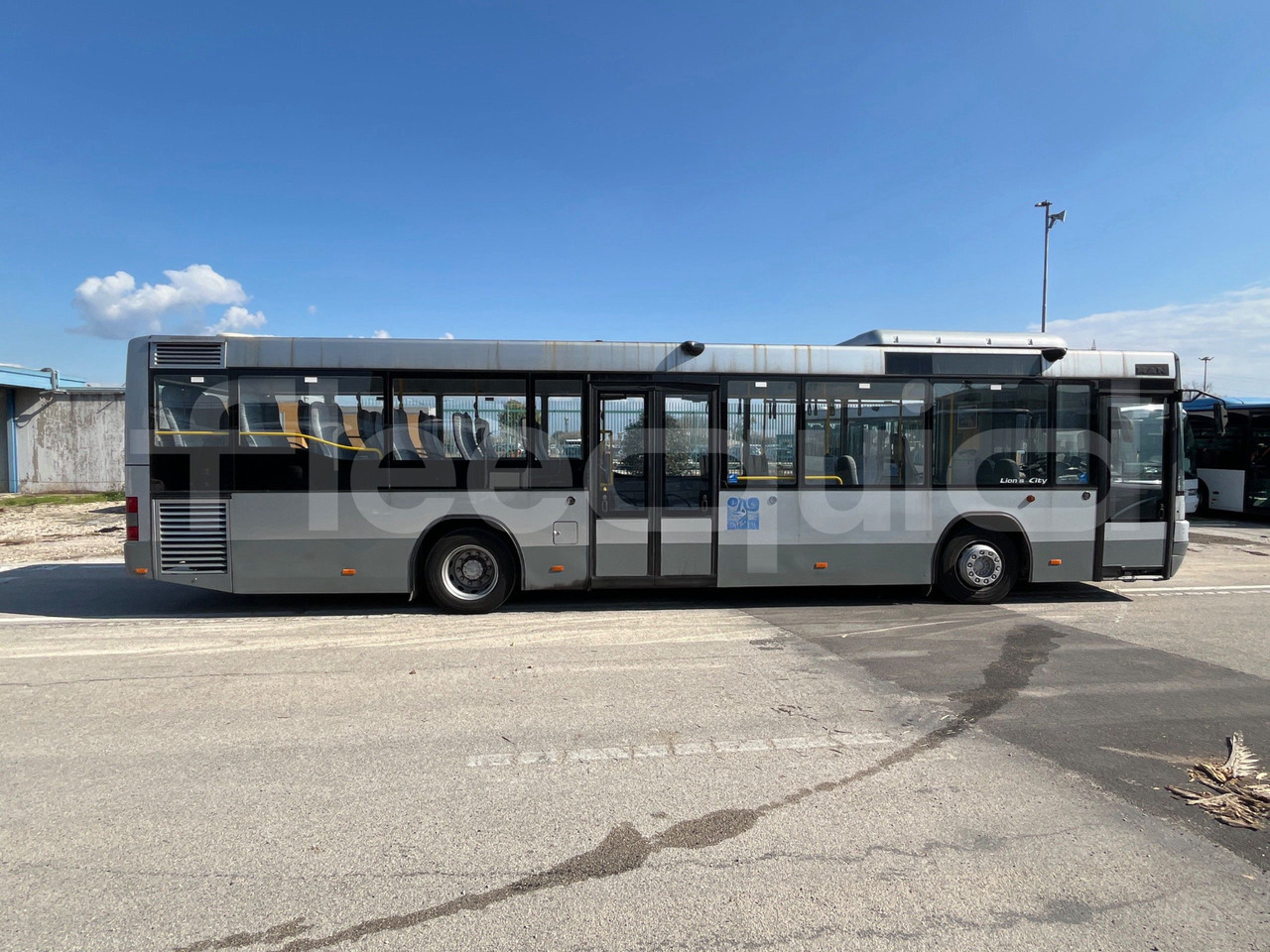 Lizing  Man Lion's Classic Man Lion's Classic: slika 11