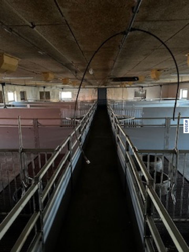 Oprema za stoku WEDG Pig House interior!: slika 7