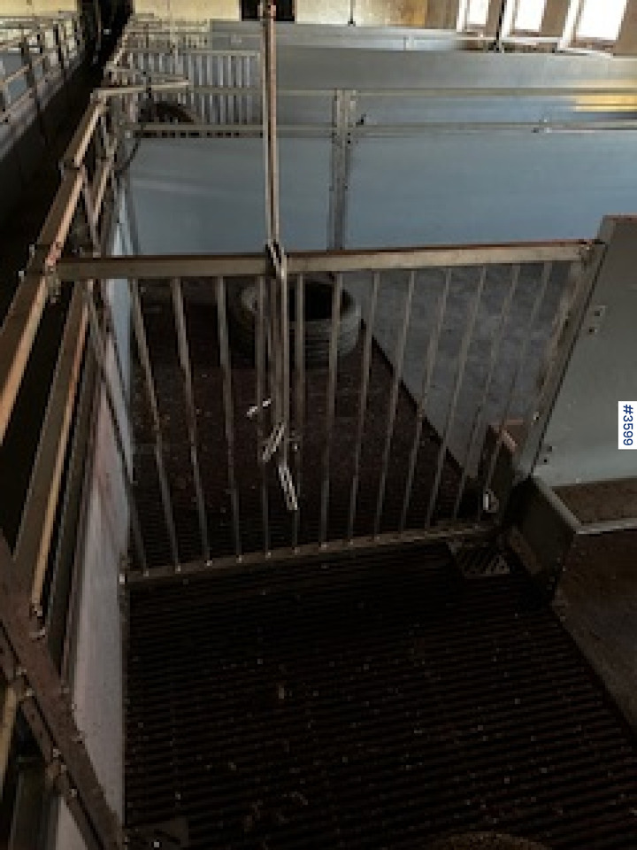 Oprema za stoku WEDG Pig House interior!: slika 8