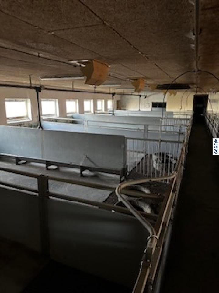 WEDG Pig House interior! - Oprema za stoku: slika 3 WEDG Pig House interior! - Oprema za stoku: slika 3