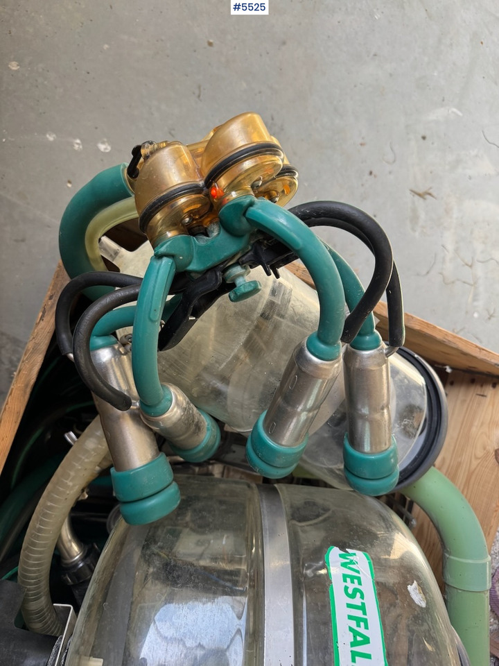 Westfalia Melkeanlegg - Oprema za mužu: slika 4 Westfalia Melkeanlegg - Oprema za mužu: slika 4