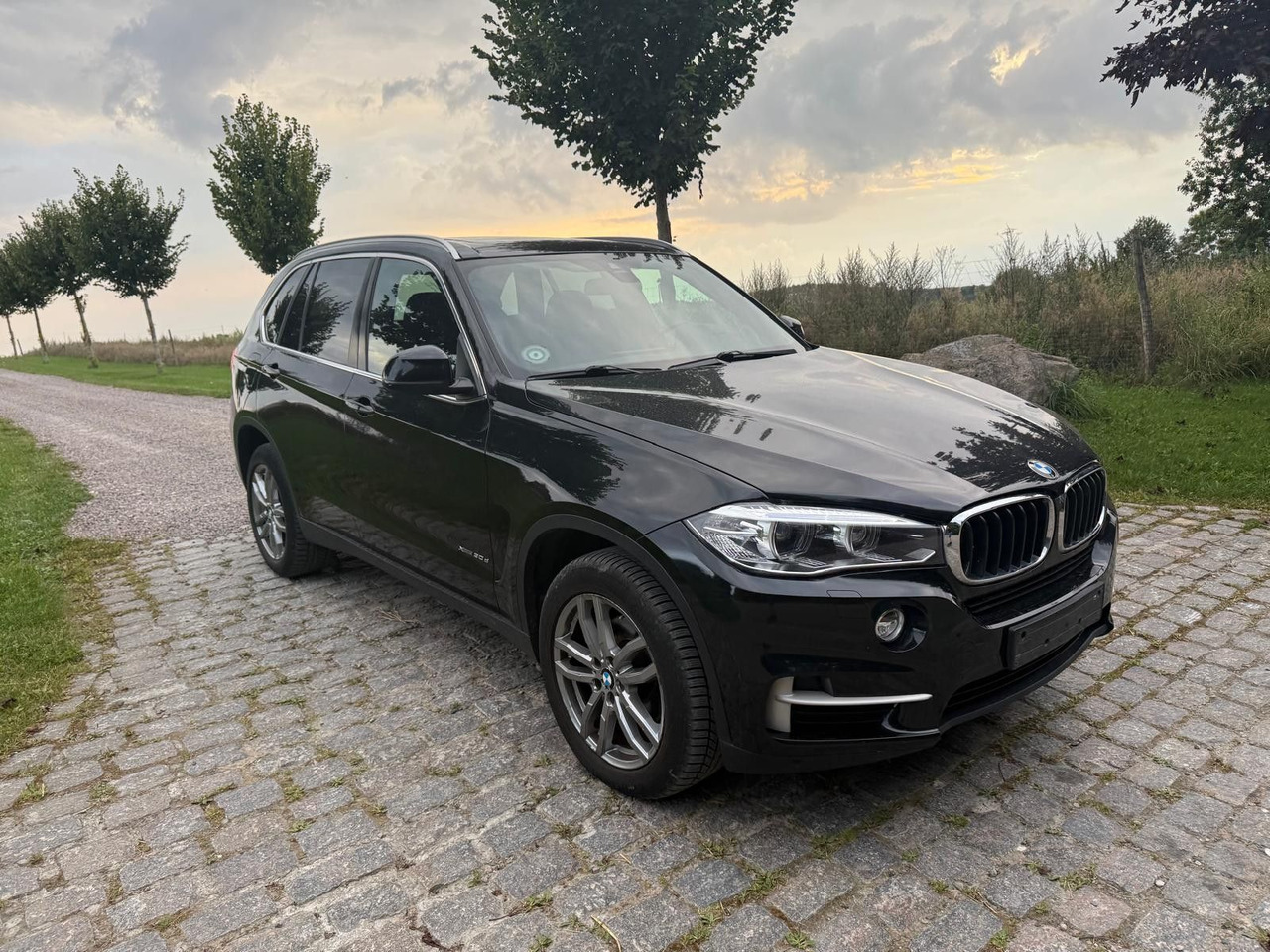 BMW X5 Baureihe X5 xDrive 30 d - SUV: slika 1 BMW X5 Baureihe X5 xDrive 30 d - SUV: slika 1