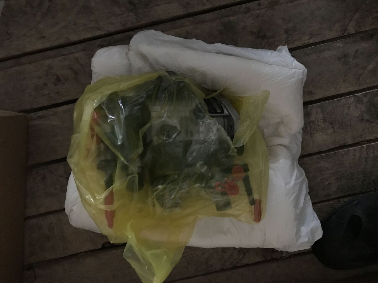 Delphi 2018 Cummins CUMMINS-CATERPILLAR - Pumpa za gorivo za Bager utovarivač: slika 2 Delphi 2018 Cummins CUMMINS-CATERPILLAR - Pumpa za gorivo za Bager utovarivač: slika 2