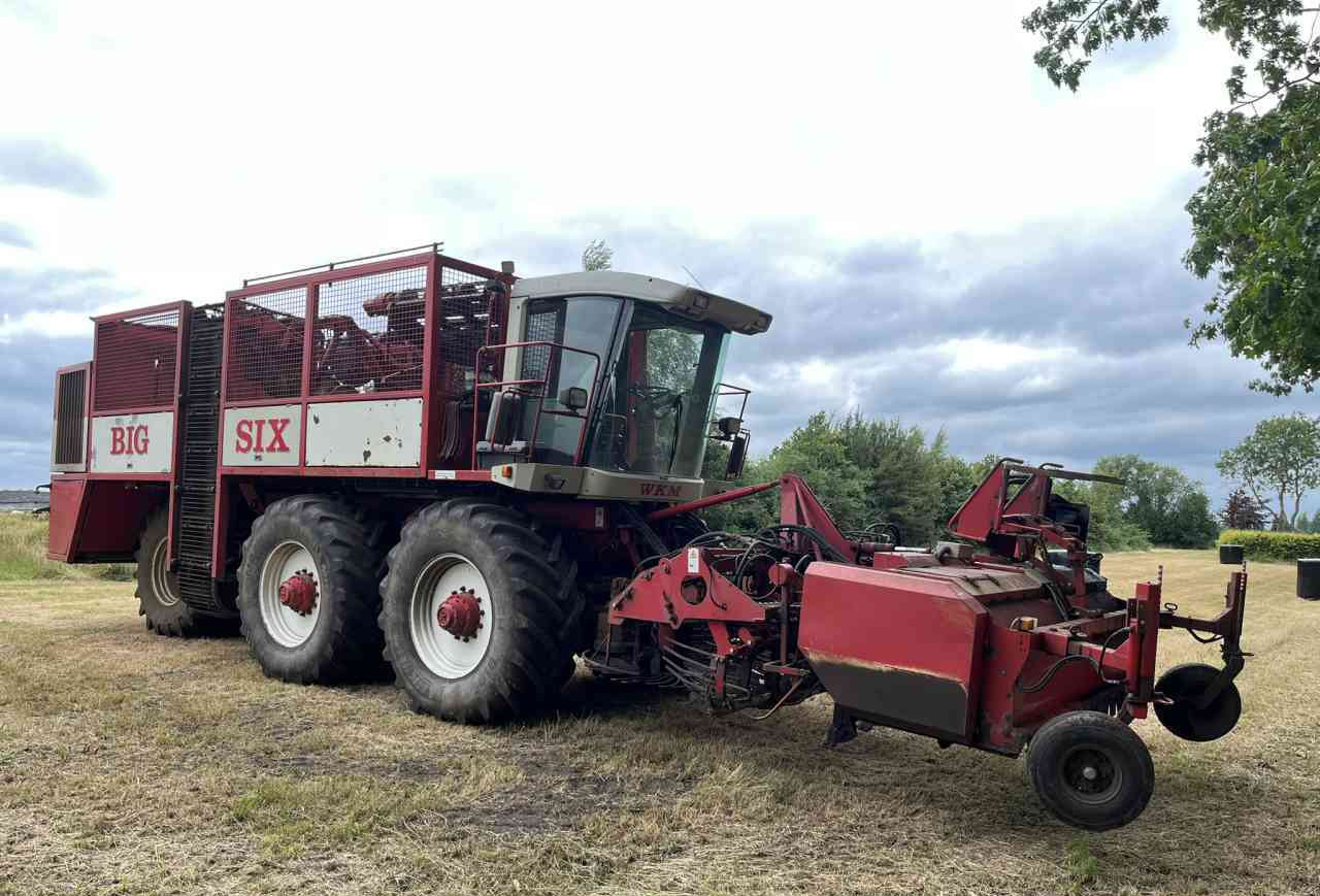 WKM Agrifac WKM BIG SIX Bietenrooier, rooimachines, oogstmachines. - Kombajn za repu: slika 2 WKM Agrifac WKM BIG SIX Bietenrooier, rooimachines, oogstmachines. - Kombajn za repu: slika 2