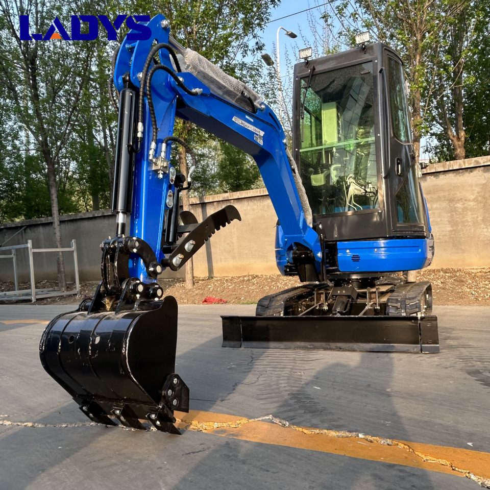 LADYS DY25U Mini Excavator Kubota Euro 5/Epa Engine Mini Excavator For Sale - Mini bager: slika 3 LADYS DY25U Mini Excavator Kubota Euro 5/Epa Engine Mini Excavator For Sale - Mini bager: slika 3