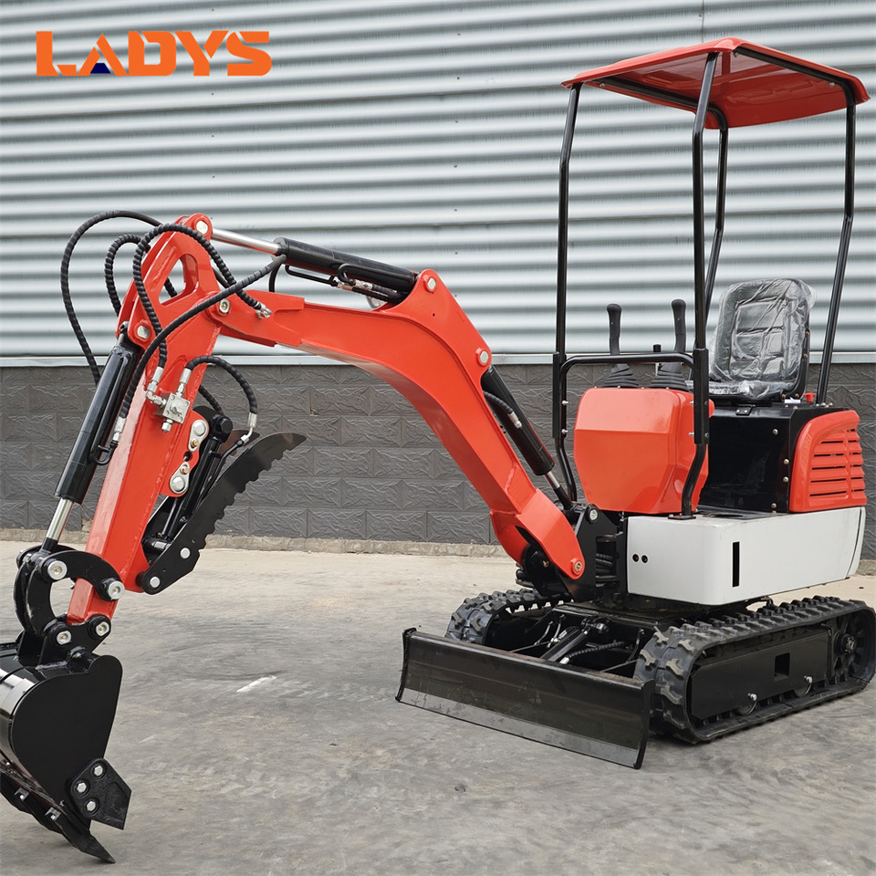 LADYS DY12Pro Mini Excavator Euro 5/Epa Engine Kubota Mini Excavator For Sale - Mini bager: slika 2 LADYS DY12Pro Mini Excavator Euro 5/Epa Engine Kubota Mini Excavator For Sale - Mini bager: slika 2