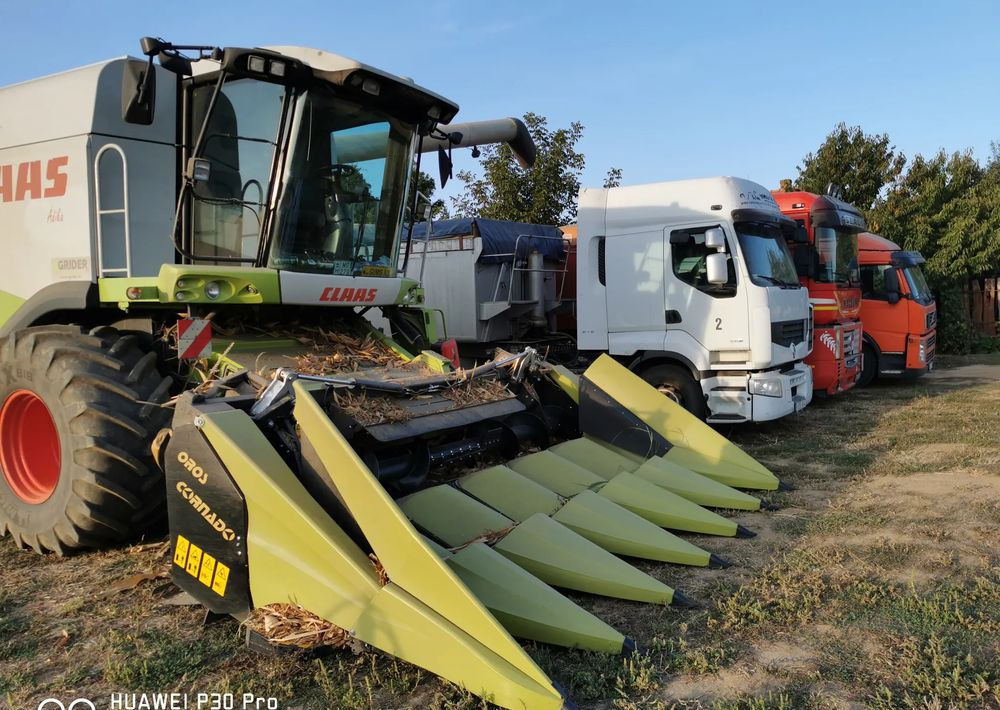 Oros Cornado 6 4+2R Nowa Przystawka do kukurydzy - Kombajn za kukuruz: slika 3 Oros Cornado 6 4+2R Nowa Przystawka do kukurydzy - Kombajn za kukuruz: slika 3