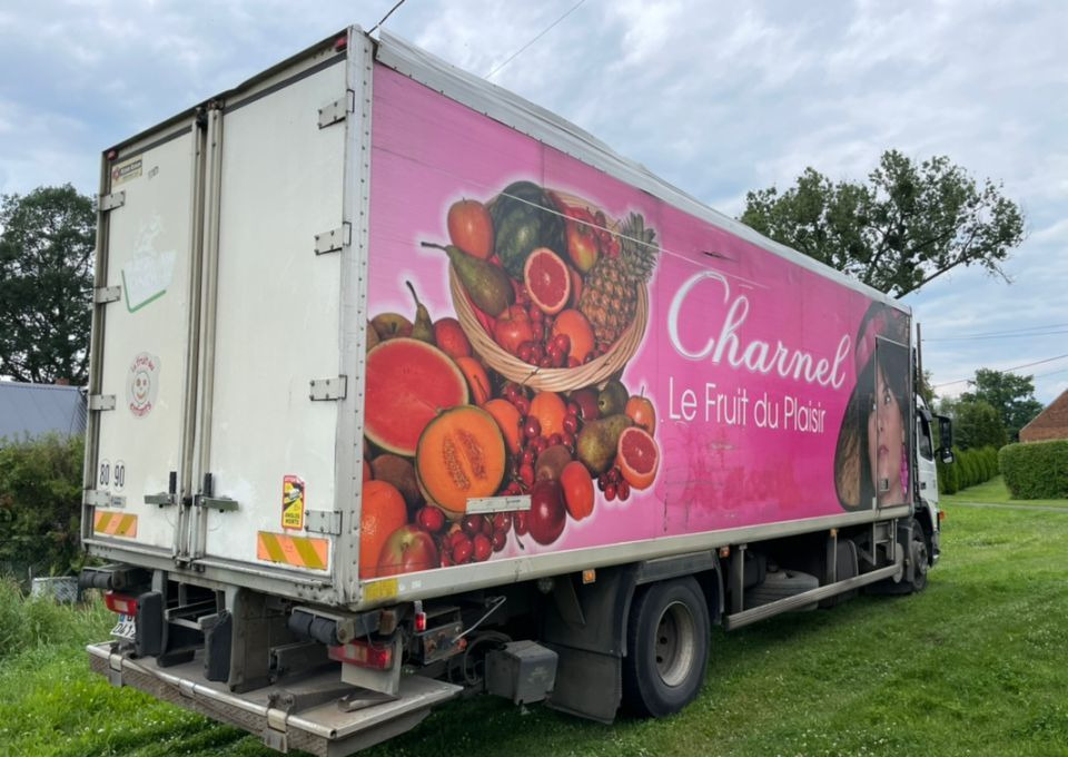 Volvo FM 9 260 - Hladnjača: slika 3 Volvo FM 9 260 - Hladnjača: slika 3