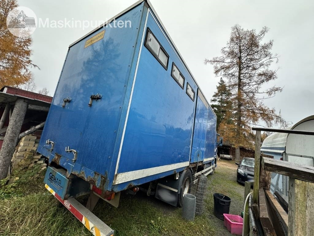 Volvo FH 12 - Kamion za prevoz stoke: slika 4 Volvo FH 12 - Kamion za prevoz stoke: slika 4