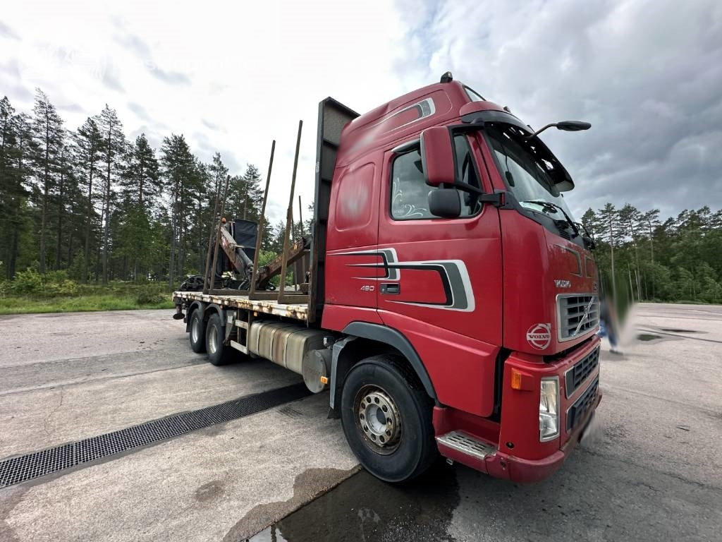 Šticar Volvo FH 480: slika 1