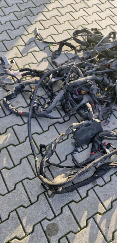 MAN TG3 TGX WIĄZKA ELEKTRYCZNA RAMY - Električni sistem: slika 2 MAN TG3 TGX WIĄZKA ELEKTRYCZNA RAMY - Električni sistem: slika 2