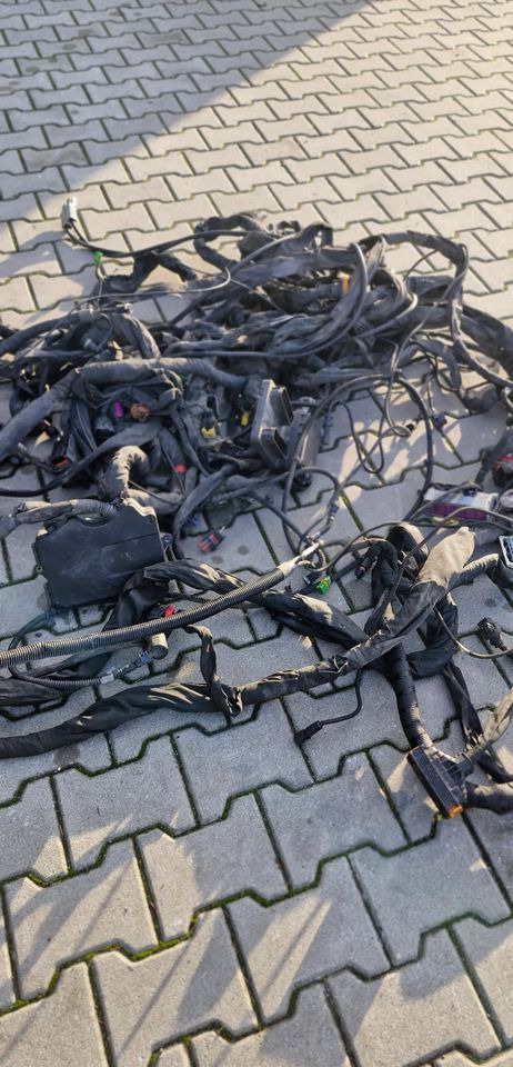 MAN TG3 TGX WIĄZKA ELEKTRYCZNA RAMY - Električni sistem: slika 5 MAN TG3 TGX WIĄZKA ELEKTRYCZNA RAMY - Električni sistem: slika 5