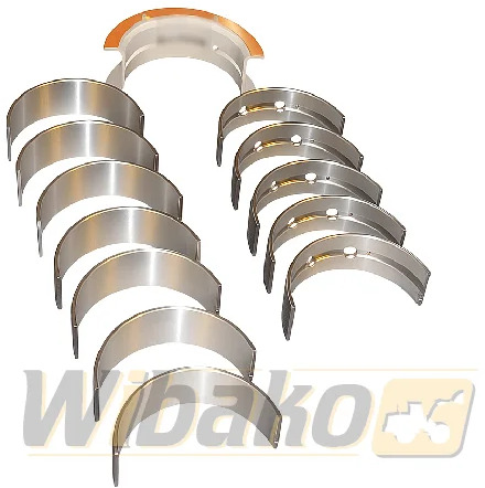 WIBAKO 6CT 3945918 3802211 3802141 - Ležaj motora za Građevinska mašina: slika 1 WIBAKO 6CT 3945918 3802211 3802141 - Ležaj motora za Građevinska mašina: slika 1
