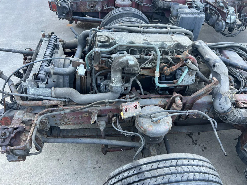 Iveco Irisbus CIMO - 5880 cc Iveco Tector (4x in stock) - Motor za Autobus: slika 5 Iveco Irisbus CIMO - 5880 cc Iveco Tector (4x in stock) - Motor za Autobus: slika 5