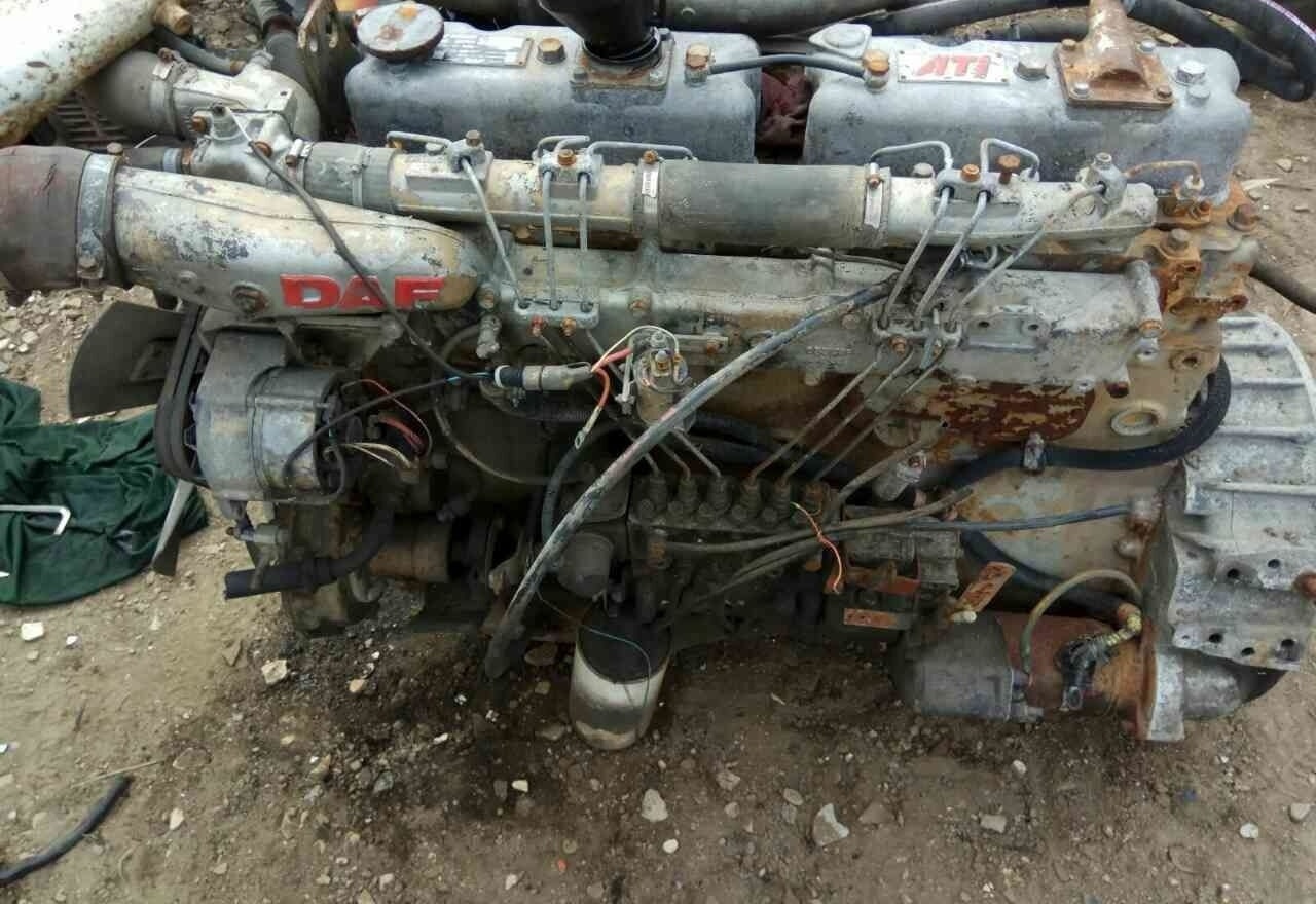DAF ATI WS259 E2   DAF - Motor za Kamion: slika 1 DAF ATI WS259 E2   DAF - Motor za Kamion: slika 1